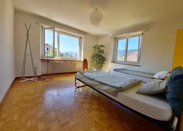 Designer Apt, 2 Balconies, 10min To Main Station Zurich