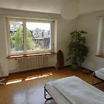 Designer Apt, 2 Balconies, 10min To Main Station Zurich